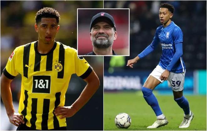 【观察】帅位危机？看乌鸦冠军主帅如何直面老板审判（帅位告急？乌鸦冠军教头如何直面老板考核）